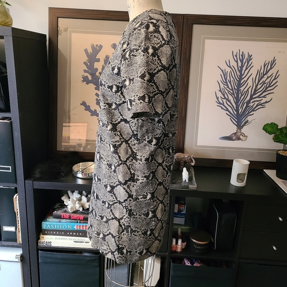 Zara Shift Dress in Snakeskin Pattern - Picture 4 of 7